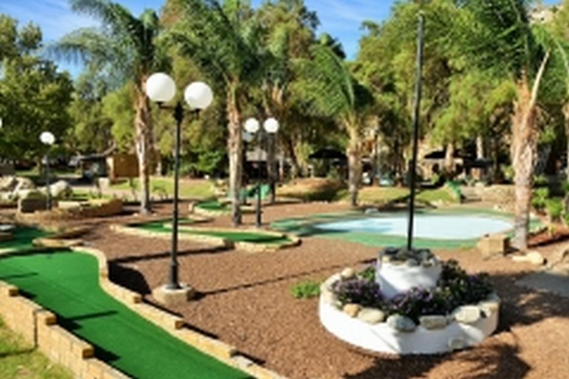 avalon PUTTPUTT (resized) avalon PUTTPUTT (resized)