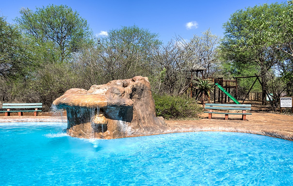 jackalberry POOL-12 (Copy)