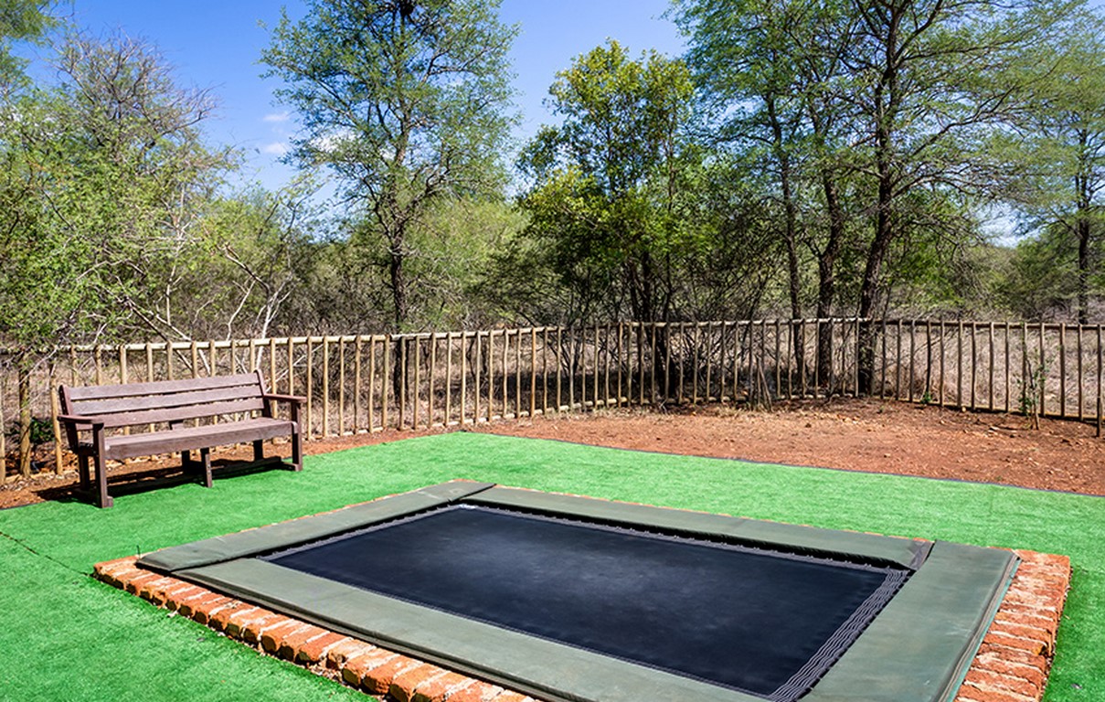 jackalberry TRAMPOLINE-2 (Copy)