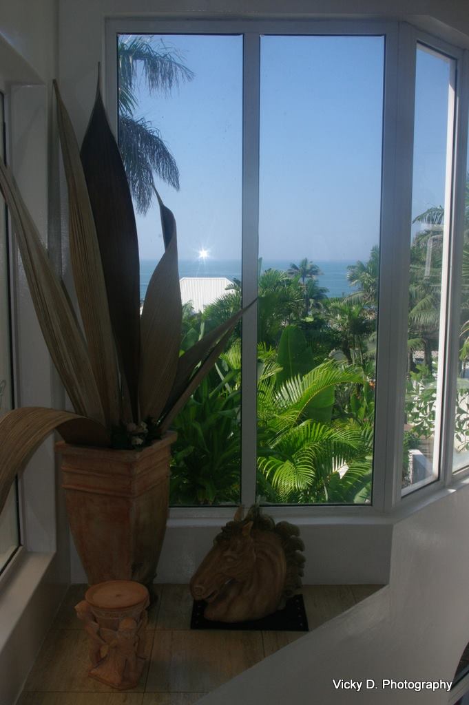 view